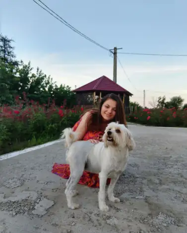 36564984_1734130140027527_521625994302324736_n