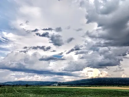 36651078_1732418373532037_946394952751906816_n