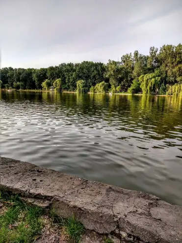 36669895_1737075646399643_4986843247000158208_n