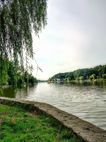 36711061_1737075736399634_4225501014645538816_n