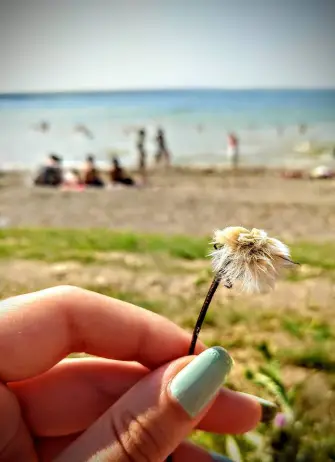 37684215_1761843810589493_7758948365429112832_n