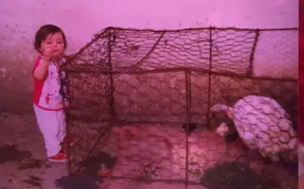 40178242_293509864760422_249068164267114496_n