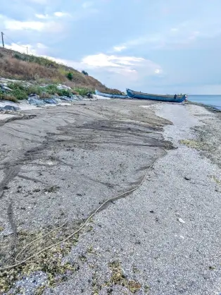 41688090_1892591307494245_2908319306141925376_n