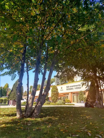 42716130_233935254148373_6451981764192632832_n