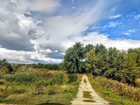 42895157_2183941061884250_9095448536182423552_n