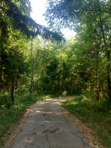 69030342_1195514867302946_2052324283870347264_n