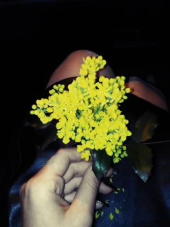 IMG_20170418_004624_418