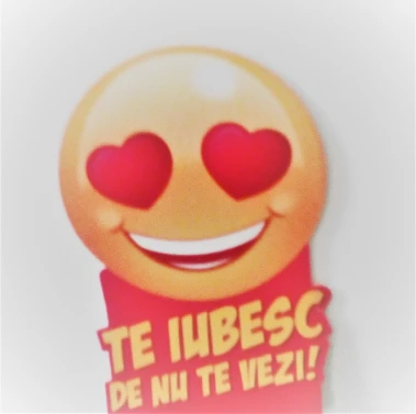 IMG_20170525_124035_031