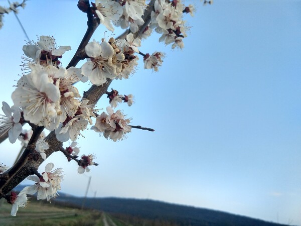 bagajul-miez-de-mine-145_thumb