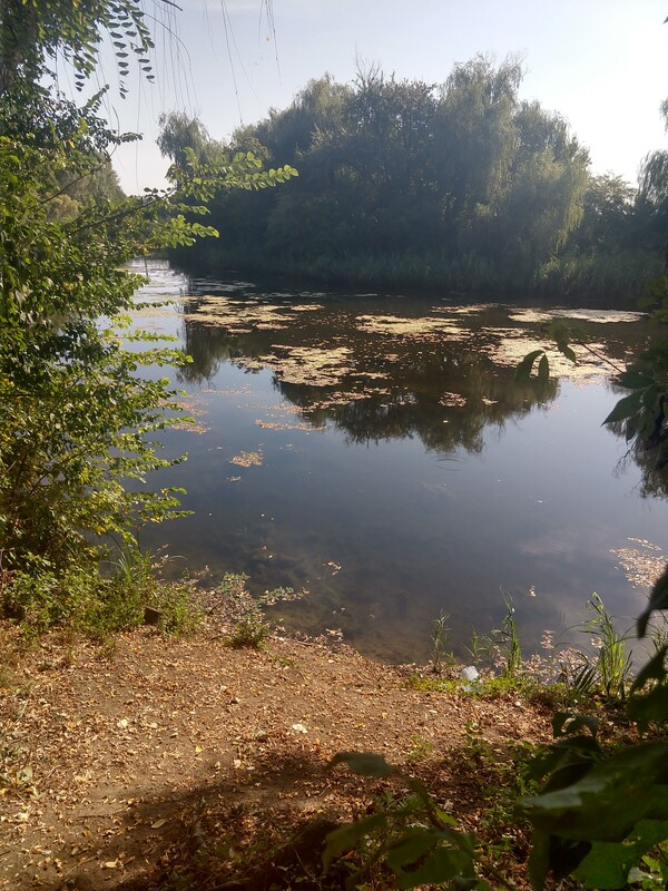 cand-a-plecat-vara-miez-de-mine-139_thumb