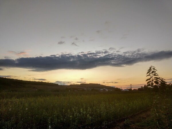 cand-a-plecat-vara-miez-de-mine-141_thumb