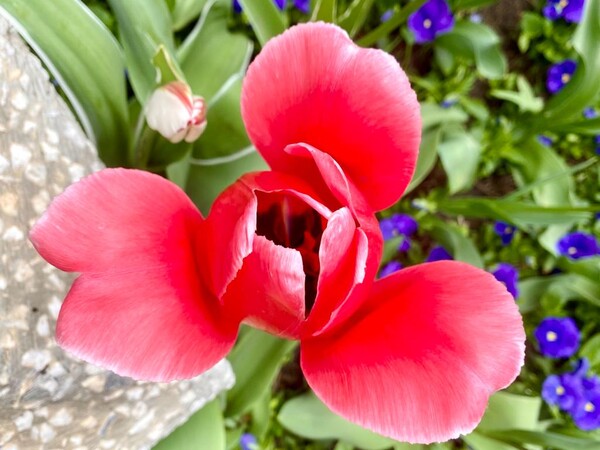 cand-acasa-esti-tu-miez-de-mine-159_thumb.