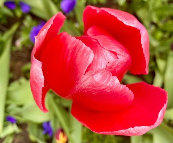 cand-acasa-esti-tu-miez-de-mine-160_thumb.