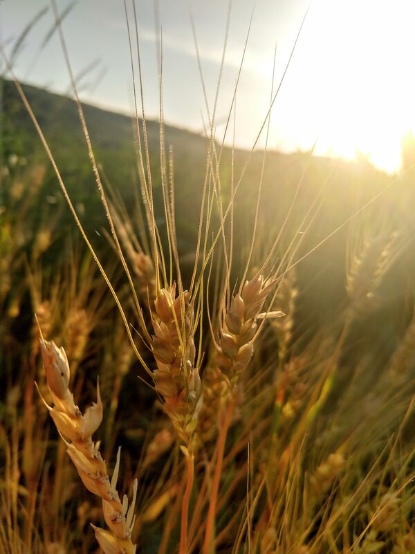 cand-uiti-ca-nicio-clipa-nu-va-fi-ca-cea-din-urma-miez-de-mine-136_thumb