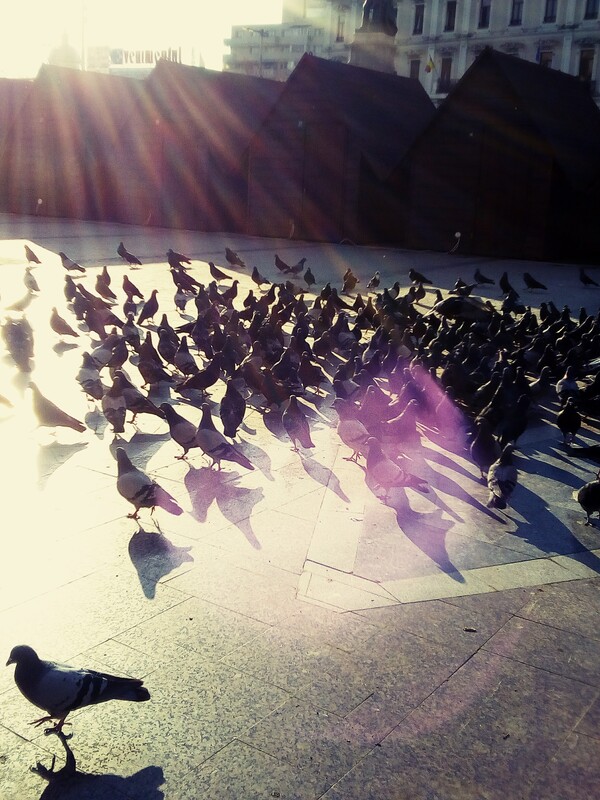 de-ale-prieteniei-ii-miez-de-mine-59_thumb