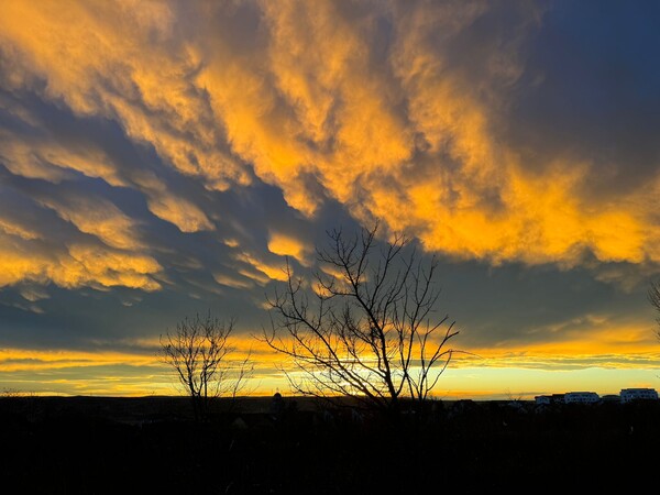 inainte-de-a-mi-lua-ramas-bun-de-la-2023-miez-de-mine-169_thumb.