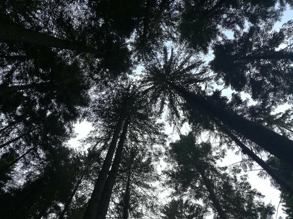 intr-o-zivoi-avea-miez-de-mine-10_thumb