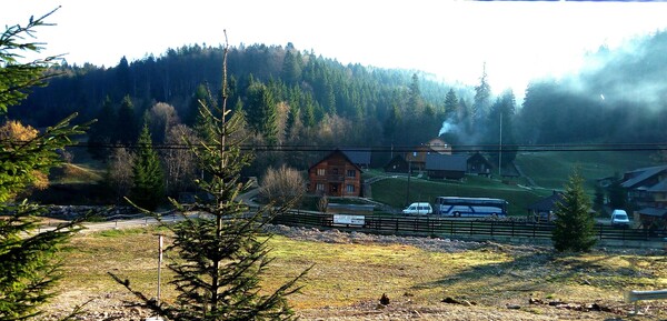 intr-o-zivoi-avea-miez-de-mine-11_thumb