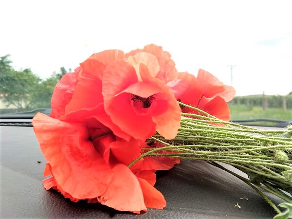 iubireatermen-de-valabilitate-miez-de-mine-64_thumb