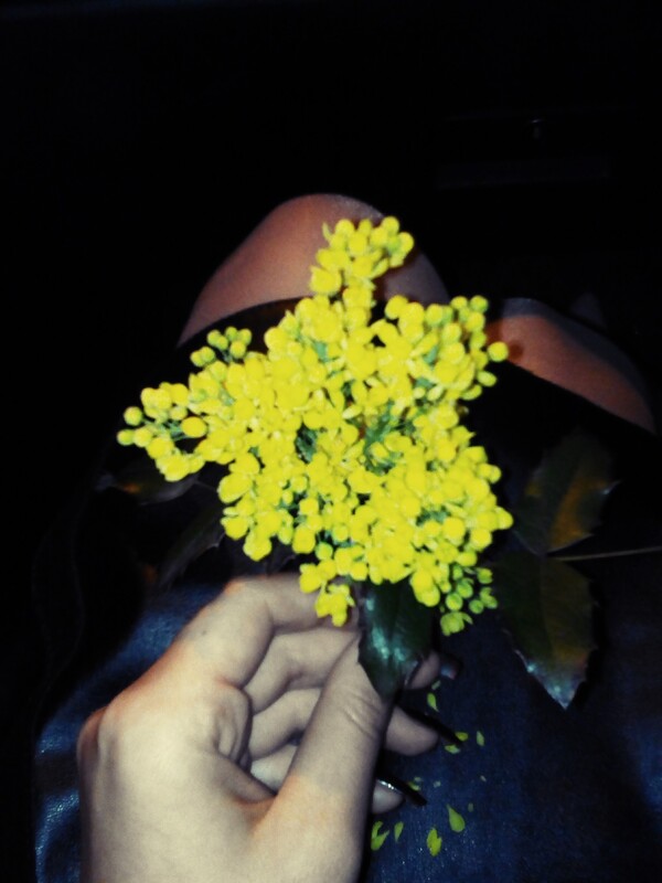 iubireatermen-de-valabilitate-miez-de-mine-65_thumb