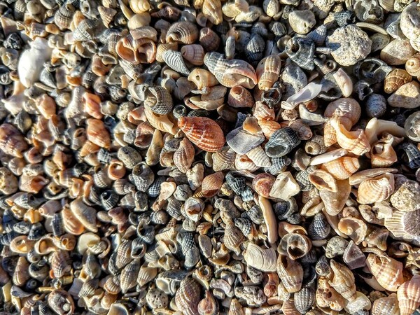 marea-iubirea-mea-miez-de-mine-87_thumb