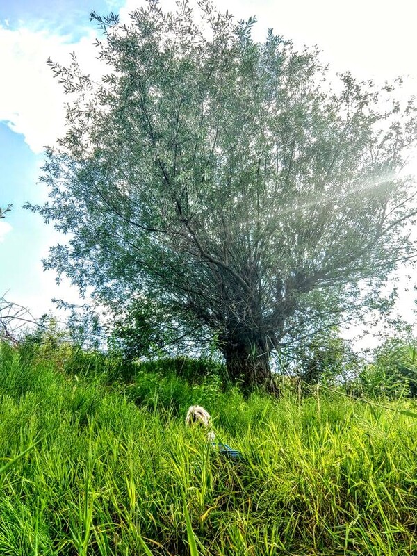 nu-vreau-sa-vad-nici-un-ozn-in-casa-mea-miez-de-mine-27_thumb