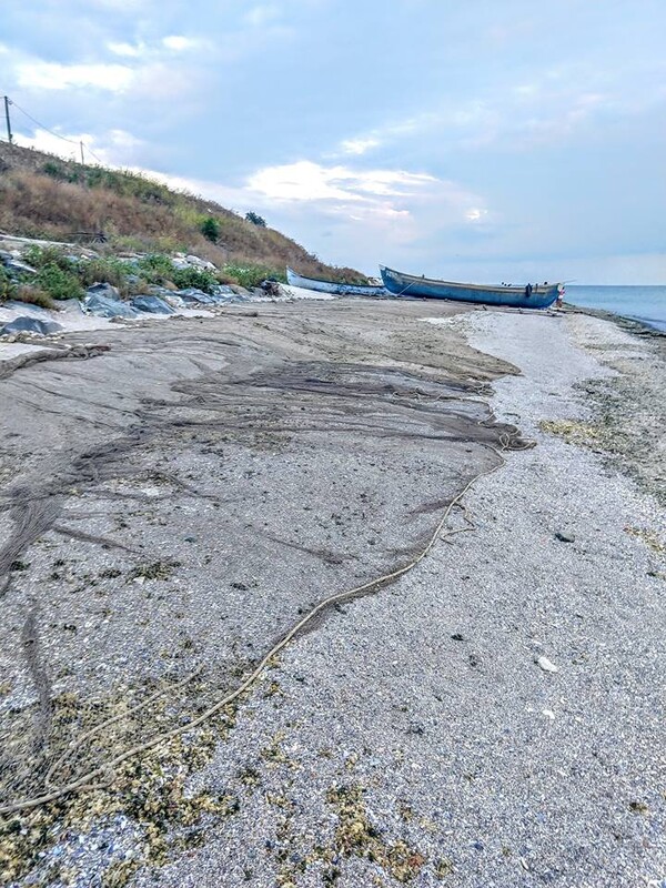 o-alta-perspectiva-miez-de-mine-95_thumb