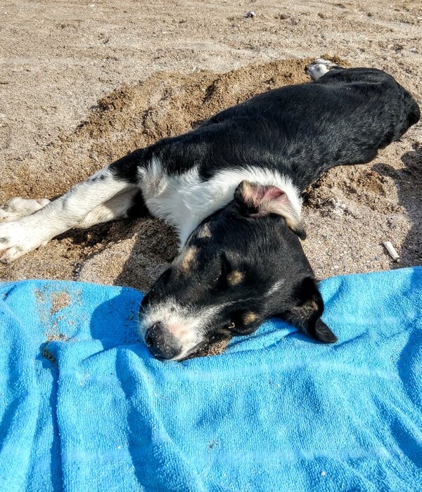 o-alta-perspectiva-miez-de-mine-97_thumb