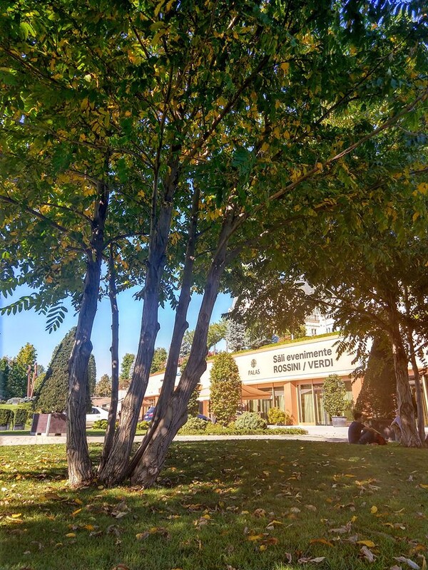 o-doamna-cu-ochii-in-lacrimi-miez-de-mine-101_thumb