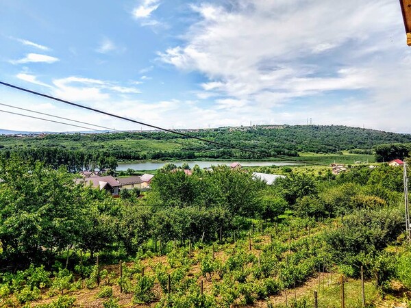 radiografia-dorului-miez-de-mine-46_thumb