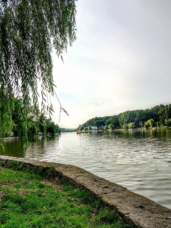 radiografia-dorului-miez-de-mine-47_thumb