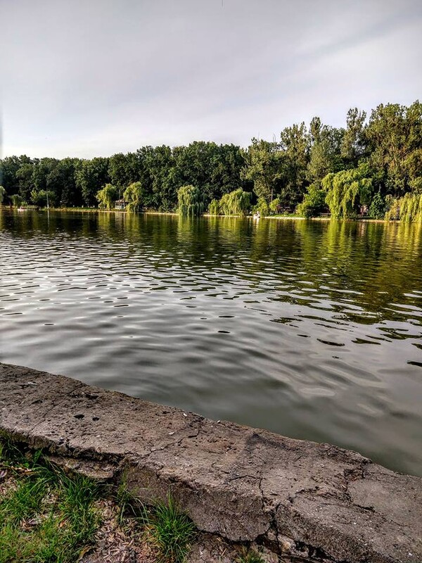 radiografia-dorului-miez-de-mine-48_thumb