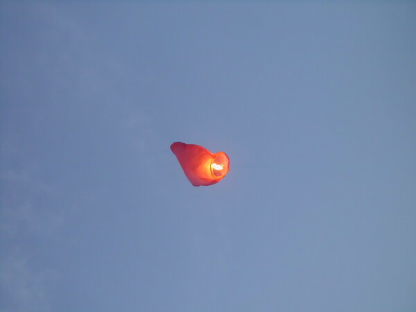 te-iubesc-miez-de-mine-62_thumb