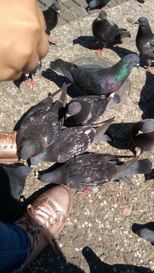 uitam-sa-fim-oameni-miez-de-mine-19_thumb